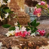 gucci-bloom-edt-50-ml-kod-taryfy-celnej-33030090