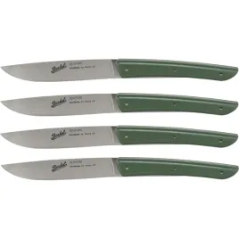 berkel-steak-knife-set-4-pcs-color-green