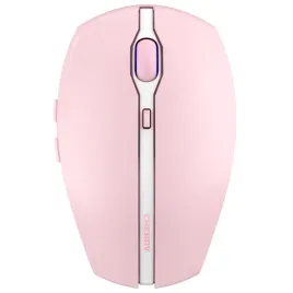 cherry-gentix-bt-cherry-blossom