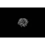nanlite-gobo-set-2-stan-nowy-kod-producenta-3813