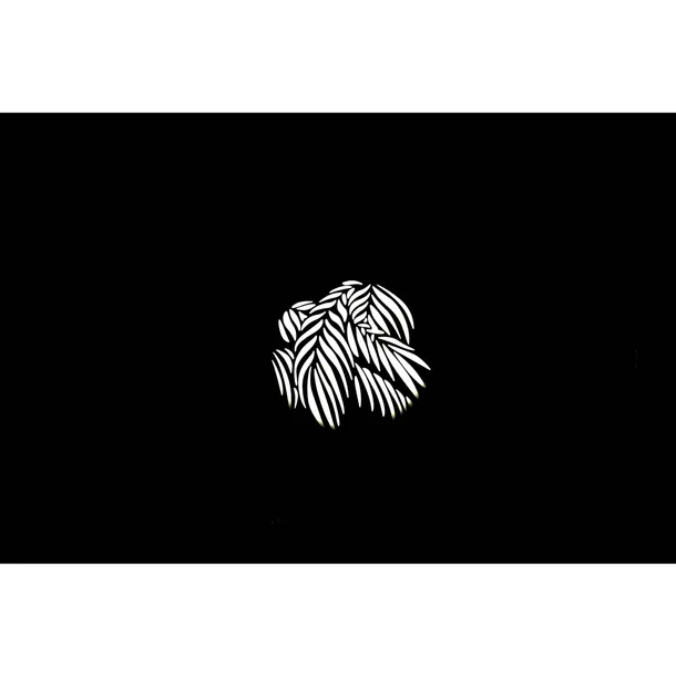 nanlite-gobo-set-2-stan-nowy-model-3813