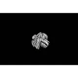 nanlite-gobo-set-2-stan-nowy-model-3813