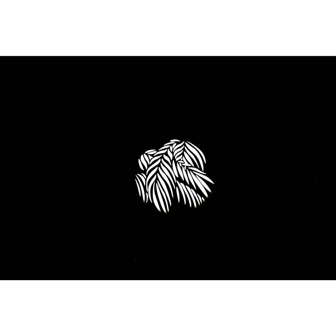 nanlite-gobo-set-2-stan-nowy