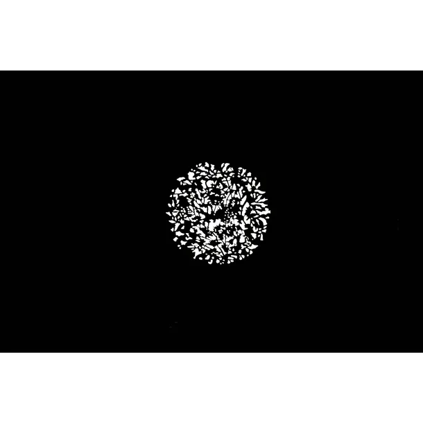 nanlite-gobo-set-2-marka-nanlite-stan-nowy