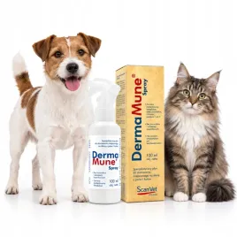 scanvet-dermamune-spray-na-rany-i-skore-dla-psa-i-kota-100-ml