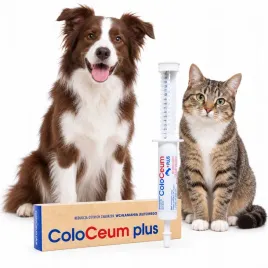 scanvet-coloceum-plus-pasta-przeciwbiegunkowa-dla-psa-i-kota-30-ml