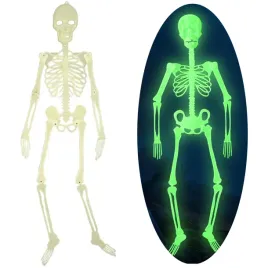 wiszacy-szkielet-fluorescencyjny-swiecacy-w-ciemnosci-dekoracja