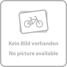 disc-brake-pad-h-spring-qty-20-guide-trail