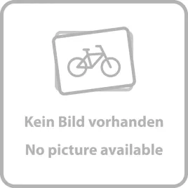 bebenek-zipp-cognition-disc-campagnolo-11s-50percent