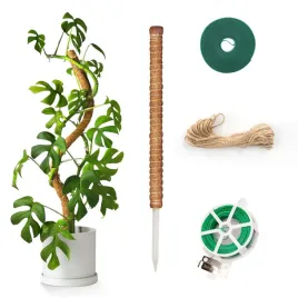 drazek-kinglake-120cm-kije-kokosowe-wsparcie-dla-roslin-pnacych-monstera