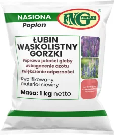 lubin-waskolistny-trwaly-nasiona-na-poplon-lupinus-1-kg-ziarno-przedplon