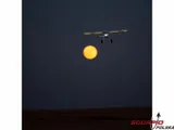 e-flite-night-timber-x-1-2m-safe-select-bnf-basic-produkt-wprowadzony-do-obrotu-na-terenie-ue-przed-13-12-2024-tak-rodzaj-napedu-elektryczny