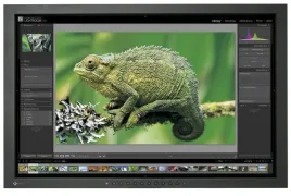monitor-eizo-24-cg241w-1920x1200p-va-bez-uchwytu-b