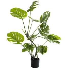 kare-roslina-dekoracyjna-monstera-110-cm