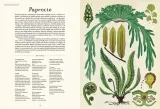 botanicum-stan-nowy