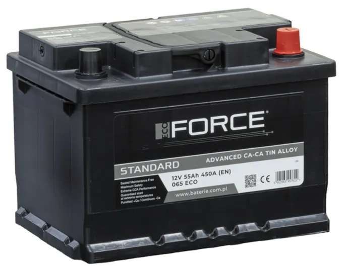 AKUMULATOR 12V ECOFORCE 55AH 450A P+  , RADOM