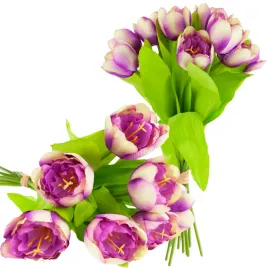 bukiet-tulipanow-gumowana-nozka-x-9-glowek-fioletowy