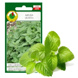 melisa-lekarska-uspokaja-oczyszcza-olejek-eter