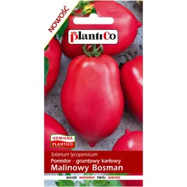 pomidor-malinowy-bosman-nasiona-05g-plantico