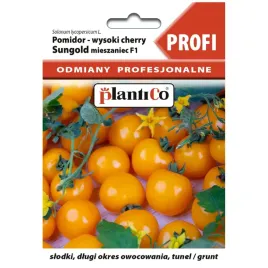 pomidor-sungold-f1-8-nasion-plantico