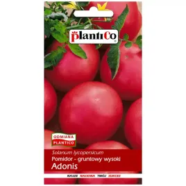 pomidor-adonis-nasiona-05g-plantico