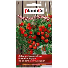 pomidor-bajaja-nasiona-02g-plantico
