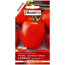 pomidor-lambert-f1-nasiona-05g-plantico