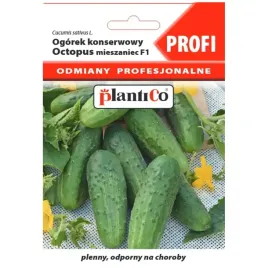 ogorek-octopus-f1-nasiona-15g-plantico