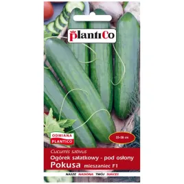 ogorek-pokusa-f1-nasiona-1g-plantico