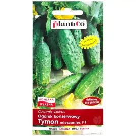 ogorek-tymon-f1-nasiona-inkrustowane-5g-plantico