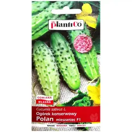 ogorek-polan-f1-nasiona-inkrustowane-5g-plantico