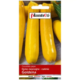 cukinia-goldena-nasiona-3g-plantico