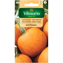 dynia-jack-o-lantern-nasiona-2g-vilmorin