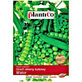 groch-walor-nasiona-40g-plantico