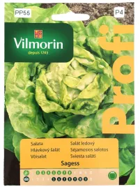 salata-maslowa-sagess-nasiona-05g-vilmorin