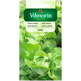 salata-maslowa-lento-nasiona-05g-vilmorin