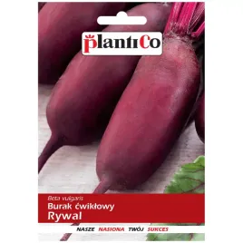 burak-cwiklowy-rywal-nasiona-10g-plantico