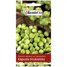 kapusta-brukselka-groninger-nasiona-1g-plantico