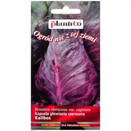 kapusta-glowiasta-kalibos-nasiona-1g-plantico