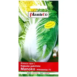 kapusta-pekinska-manoko-f1-nasiona-015g-plantico