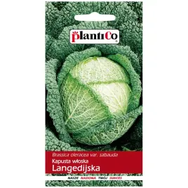 kapusta-wloska-langedijska-nasiona-2g-plantico