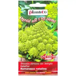 kalafior-romanesco-natalino-nasiona-02g-plantico