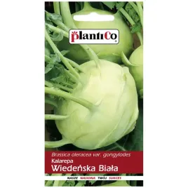 kalarepa-wiedenska-biala-nasiona-2g-plantico