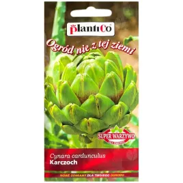 karczoch-vert-de-provence-nasiona-1g-plantico