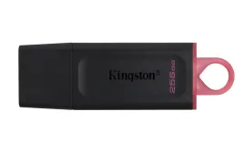kingston-256gb-usb-3-2-gen1-datatraveler-exodia-black-pink