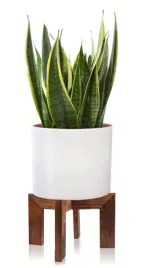 shein-bialy-kwietnik-na-doniczke-s07-30x18cm