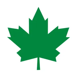 zielony-listek-lisc-klonu-mlody-kierowca-naklejka-na-samochod