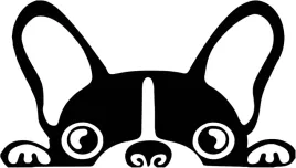 spogladajacy-piesek-bulldog-naklejka-na-samochod