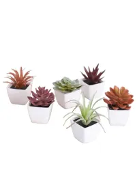 shein-biala-doniczka-6-pack-s07