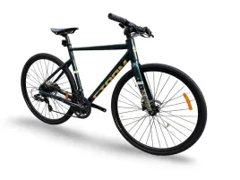 rower-fitness-gravel-storm-focus-1-0-flatbar-54cm-green-gold-hydraulika